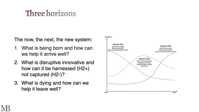 Three Horizons Model